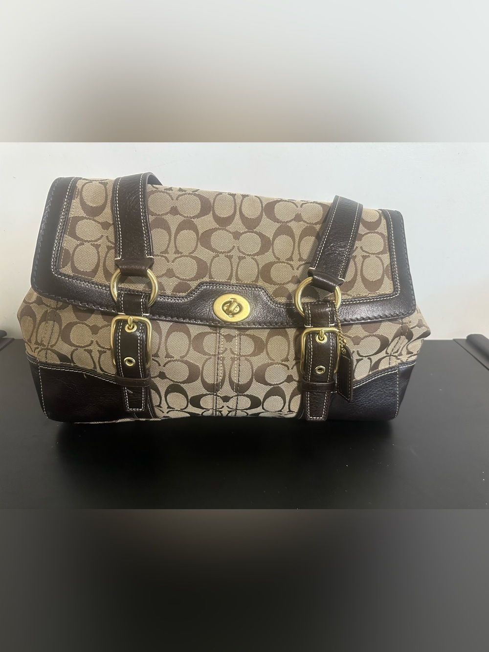 Canvas Logo-Print Messenger Bag in Brown